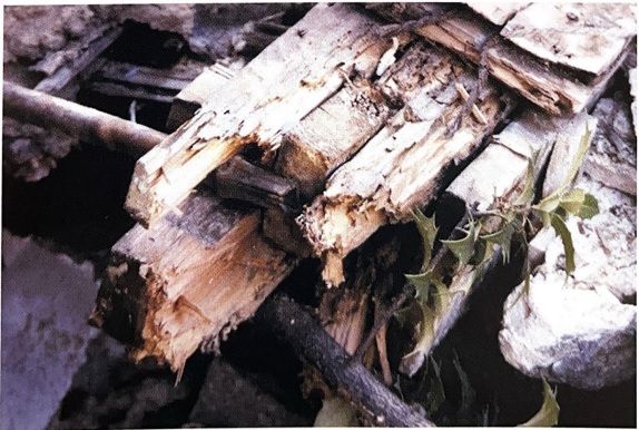 シロアリ・水漏れ